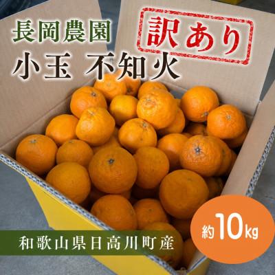ふるさと納税 日高川町 [訳あり]小玉 不知火(しらぬい) 約10kg/和歌山県日高川町産
