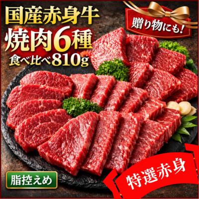 ふるさと納税 羽曳野市 厳選赤身牛焼肉セット6種盛約810g ヒマラヤ岩塩付き 希少部位
