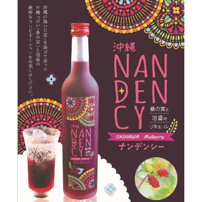 ふるさと納税 浦添市 沖縄ナンデンシー(500ml×2本)