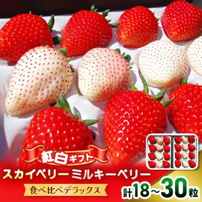 ふるさと納税 矢板市 紅白ギフト!スカイベリー ミルキーベリー 食べ比べデラックス
