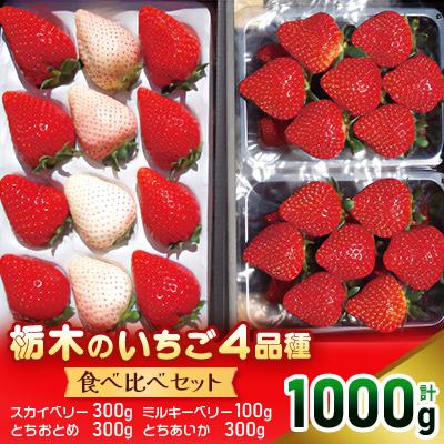 ふるさと納税 矢板市 いちご王国ならでは!栃木のいちご4品種 食べ比べセット