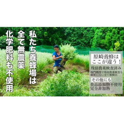 ふるさと納税 森町 【農薬・化学肥料も一切使用せず育てたお花から採蜜した山の国産蜂蜜】匠の高級はちみつ/180g/百花蜜の画像