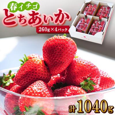 ふるさと納税 佐野市 [春イチゴ]『とちあいか』(260g×4パック)