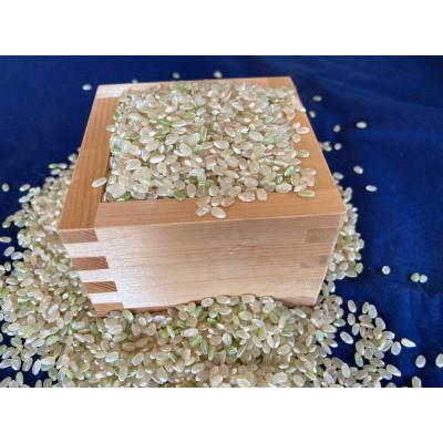 ふるさと納税 池田町 玄米 風さやか3.3kg 田には生き物の多様性があり安全で美味しいお米 栽培期間中農薬・肥料不使用