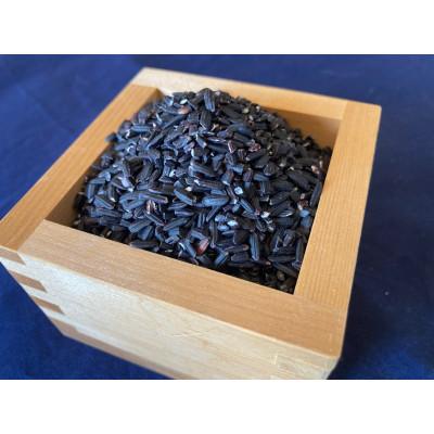 ふるさと納税 池田町 風さやか白米3kg と 古代紫米200gのセット