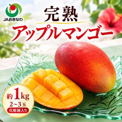 ふるさと納税 与那原町 【2027年6月下旬から順次発送・贈答用】JAおきなわ厳選 完熟アップルマンゴー約1kg(2〜3玉) | 