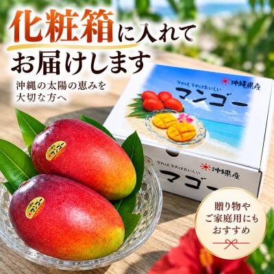 ふるさと納税 与那原町 【2027年6月下旬から順次発送・贈答用】JAおきなわ厳選 完熟アップルマンゴー約1kg(2〜3玉) |  | 03