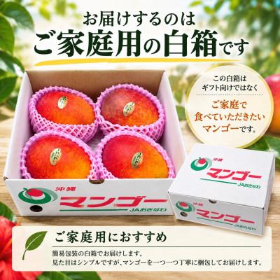 ふるさと納税 与那原町 【2027年6月下旬から順次発送・家庭用】JAおきなわ厳選 完熟アップルマンゴー1.5kg |  | 03