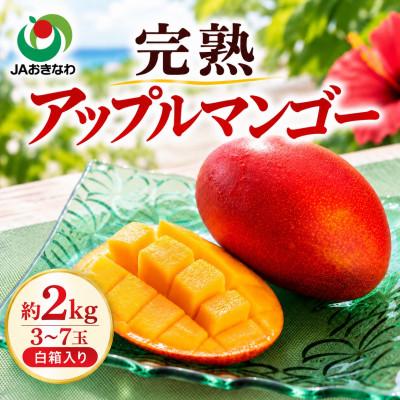 ふるさと納税 与那原町 【2027年6月下旬から順次発送・家庭用】JAおきなわ厳選 完熟アップルマンゴー2kg(3〜7玉) | 