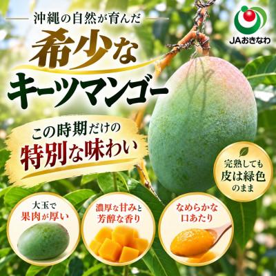 ふるさと納税 与那原町 【2027年8月上旬から順次発送・贈答用】JAおきなわ厳選 幻のキーツマンゴー約1kg(1〜2玉) |  | 01