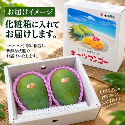 ふるさと納税 与那原町 【2027年8月上旬から順次発送・贈答用】JAおきなわ厳選 幻のキーツマンゴー約1kg(1〜2玉) |  | 03