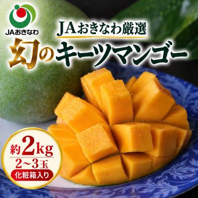 ふるさと納税 与那原町 【2027年8月上旬から順次発送・贈答用】JAおきなわ厳選 幻のキーツマンゴー約2kg(2〜3玉) | 
