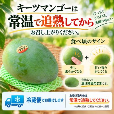 ふるさと納税 与那原町 【2027年8月上旬から順次発送・贈答用】JAおきなわ厳選 幻のキーツマンゴー約2kg(2〜3玉) |  | 02