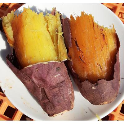 ふるさと納税 鉾田市 厳選 冷やし焼き芋 紅はるか・シルクスイート 食べ比べセット 計2kg/計4袋(500g×各2袋)