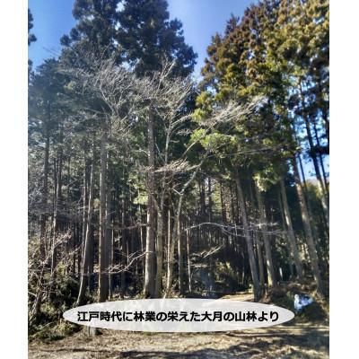 ふるさと納税 大月市 杉・檜のスウェーデントーチ　高さ30cm以上　幅15cm〜20cm_2