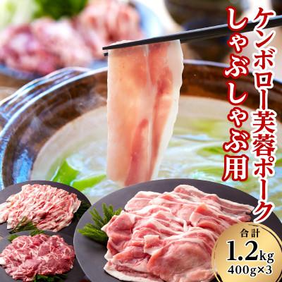 ふるさと納税 浜田市 浜田市産 ケンボロー芙蓉ポーク しゃぶしゃぶ用 合計1.2kg