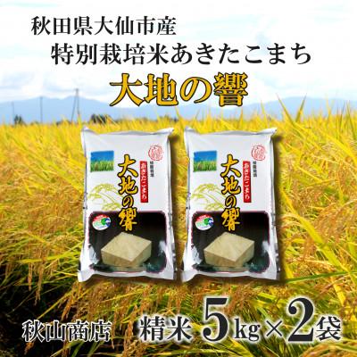 ふるさと納税 大仙市 令和7年産「特別栽培米 秋田県産あきたこまち 大地の響新米 精米10kg(5kg×2)」