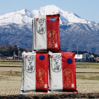 ふるさと納税 柏崎市 田村農産の新之助 無洗米 6kg(2kg×3)