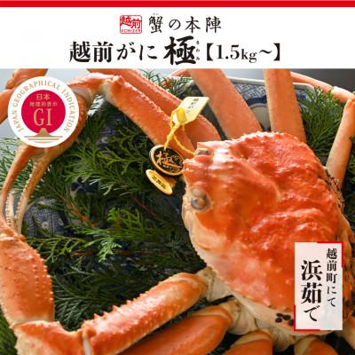 ふるさと納税 越前町 福井県が誇るブランド蟹 浜茹で[越前がに 極] 11月〜翌3月順次発送