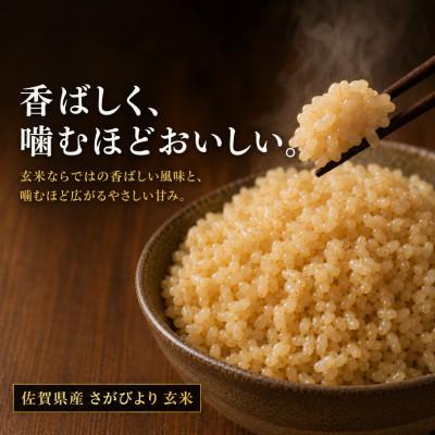 ふるさと納税 吉野ヶ里町 令和7年産【玄米】さがびより10kg(5kg×2袋)五つ星お米マイスター厳選!(吉野ヶ里町) |  | 02