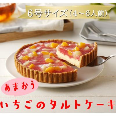 ふるさと納税 田川市 あまおう苺のタルトケーキ 6号(約18cm)4〜6人分(田川市)