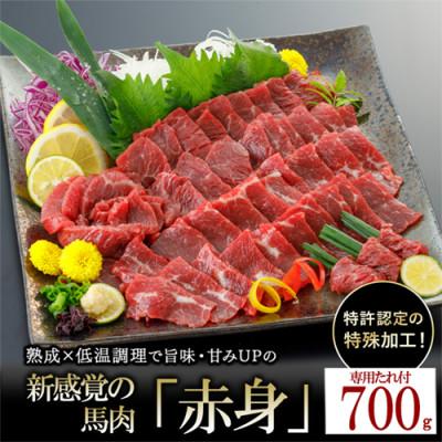 ふるさと納税 小国町 馬肉 赤身 約700g 専用たれ付き (熊本県小国町)
