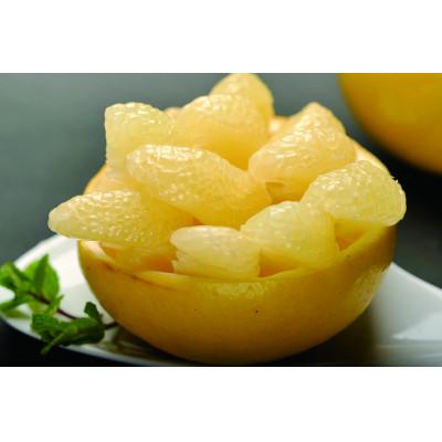 ふるさと納税 土佐市 [訳あり]三愛果樹園の土佐文旦約5kg