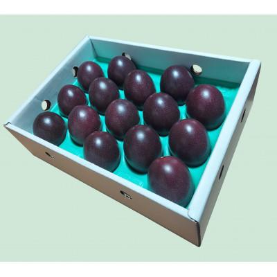 ふるさと納税 瀬戸内町 【先行受付】【2026年5月下旬以降順次発送】パッションフルーツ　化粧箱M玉15個入り