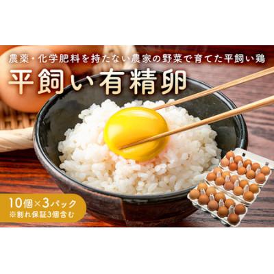 ふるさと納税 南房総市 有精卵 10個×3パック(割れ保証3個含む) 栽培期間農薬不使用野菜で育てた平飼い鶏
