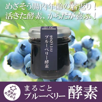 ふるさと納税 いすみ市 まるごとブルーベリー酵素 | 