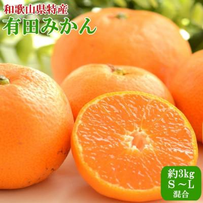 ふるさと納税 上富田町 [秀品]紀州有田みかん約3kg(S〜Lサイズ混合)「2025年11月中旬より順次発送」 (上富田町)