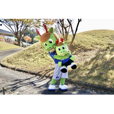 ふるさと納税 城里町 圧倒的ホーリーくん(ぬいぐるみ)