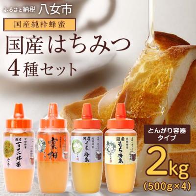 ふるさと納税 八女市 かの蜂の国産蜂蜜 4種セット とんがりポリ容器 2kg(500g×4)