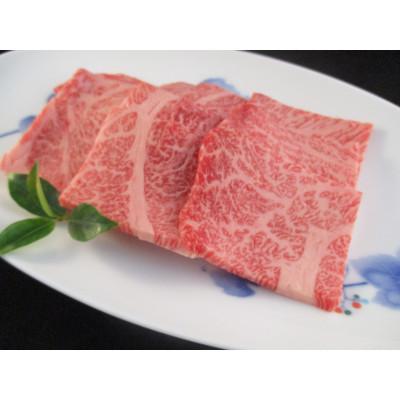 ふるさと納税 吉野ヶ里町 A5 A4佐賀牛 肩ロース焼肉250g×2(吉野ヶ里町)