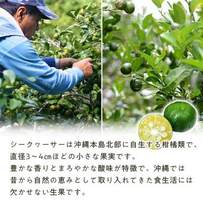 ふるさと納税 豊見城市 沖縄県産青切りシークヮーサー500ml×3本セット