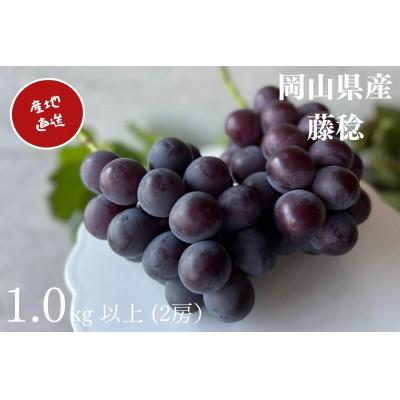 ふるさと納税 真庭市 [2026年先行受付] 厳選 岡山県産 藤稔 計1.0kg以上 2房 産直・朝採れ