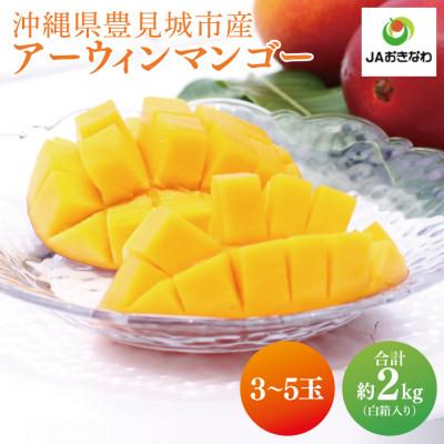 ふるさと納税 豊見城市 [2026年6月より順次発送][訳あり]菜々色畑のアーウィンマンゴー約2kg