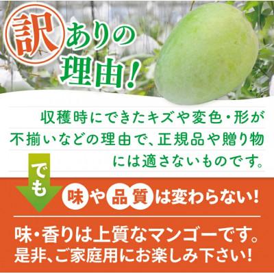 ふるさと納税 豊見城市 【2027年8月より順次発送】【訳あり】菜々色畑のキーツマンゴー約2kg |  | 02