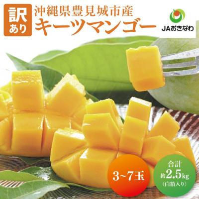 ふるさと納税 豊見城市 [2026年8月より順次発送][訳あり]菜々色畑のキーツマンゴー約2.5kg