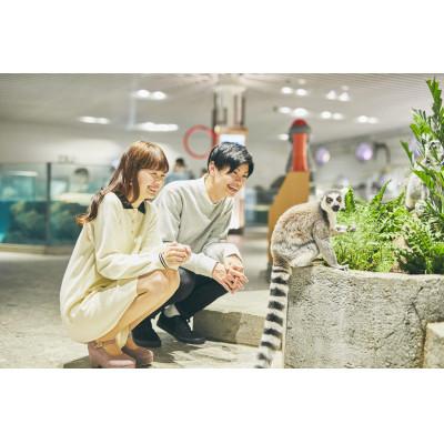 ふるさと納税 吹田市 【大人1枚+こども1枚】生きているミュージアムNIFREL入館券 |  | 02