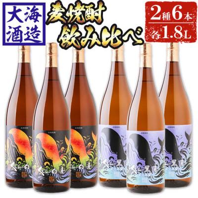 ふるさと納税 垂水市 大海酒造 麦焼酎 1800ml×6本セット