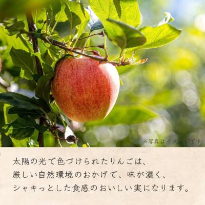 ふるさと納税 飯綱町 【お任せりんごジュースセット】 りんごジュース