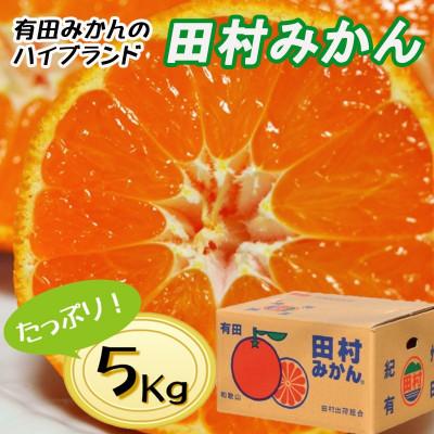 ふるさと納税 那智勝浦町 有田の高級ブランド「田村みかん」秀品5kg[1月発送分]S〜Lサイズ
