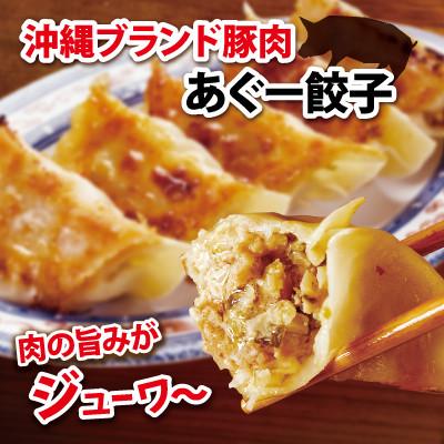 ふるさと納税 豊見城市 沖縄そばセット&amp;あぐー100%餃子セット