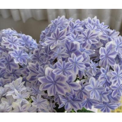 ふるさと納税 藤枝市 [母の日に!]アジサイ鉢植えブルー高級・希少品種 5号