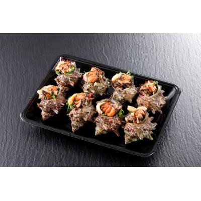 ふるさと納税 京丹後市 【お刺身用 】京丹後産さざえ8個　下処理済みですぐ食べられる!　お酒のお供や特別な日の一品に最適 |  | 01