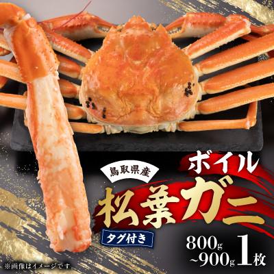 ふるさと納税 北栄町 早期受付 鳥取県産タグ付きボイル松葉ガニ大1枚[2026/10/31までのお申込み分]
