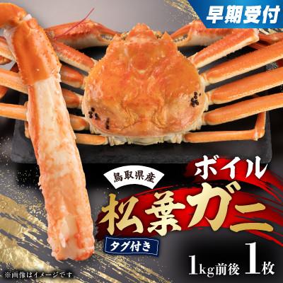 ふるさと納税 北栄町 早期受付 鳥取県産タグ付きボイル松葉ガニLL 1枚[2026/10/31までのお申し込み分]