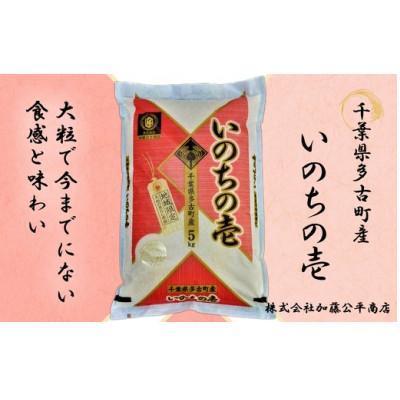 ふるさと納税 多古町 [令和7年産]多古町産いのちの壱 精米5kg