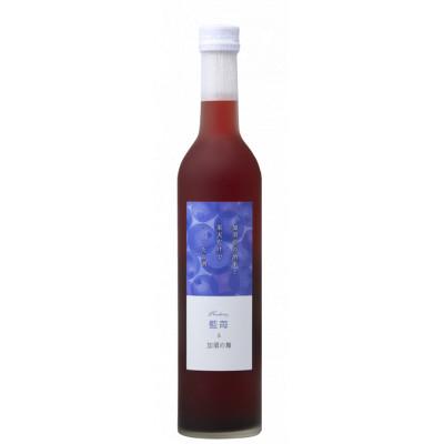 ふるさと納税 加須市 力士 加須産の酒米と果実だけでつくったお酒 ブルーベリー酒 箱入500ml